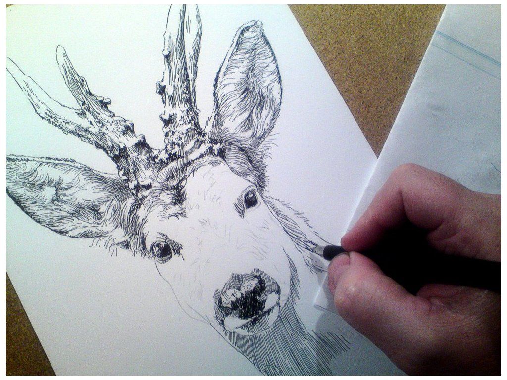 Myslivecký motiv - jelen, srnec a kanec